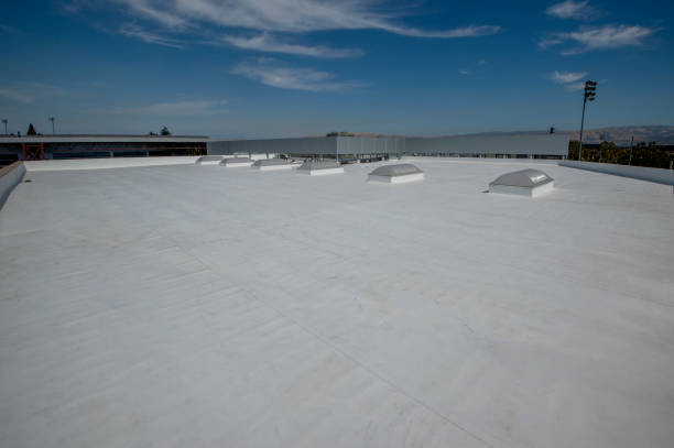 Best Sheet Metal Roofing  in Lakeview, WA