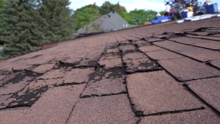 Best Tile Roofing Installation  in Lakeview, WA