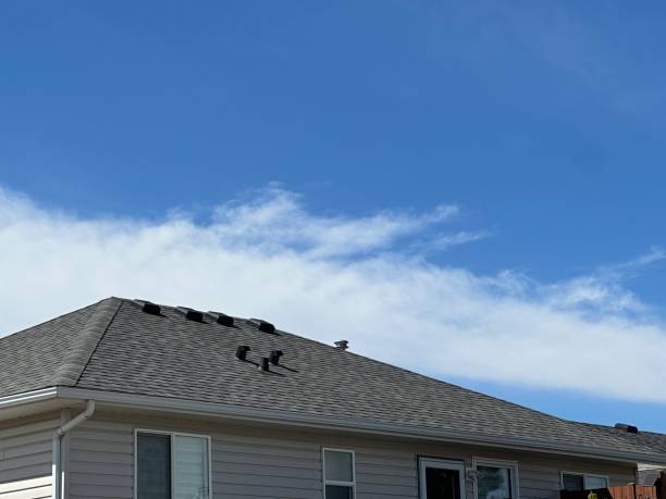 Best 4 Ply Roofing  in Lakeview, WA